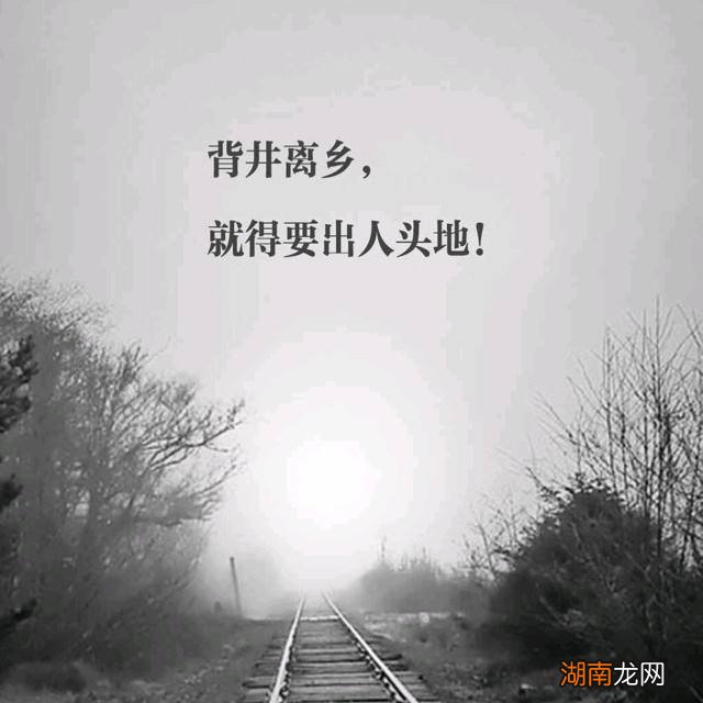 出 人头地想光鲜,能屈能伸走得远猜最佳生肖详细解答、详细解答解释落实