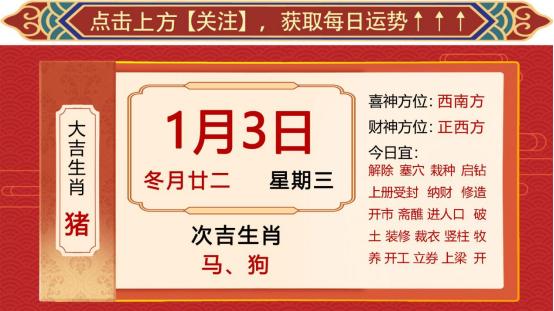 今期生肖三三开,十二生肖最呆萌打生肖详细解答、实证解答解释落实